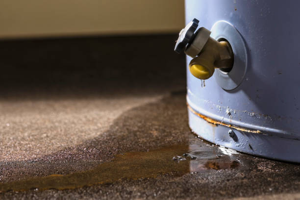  Hillsboro, ND Water damage restoration Pros