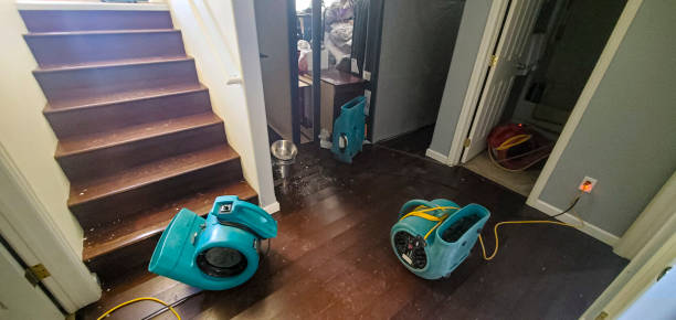 Best Water damage cleanup near me  in Hillsboro, ND