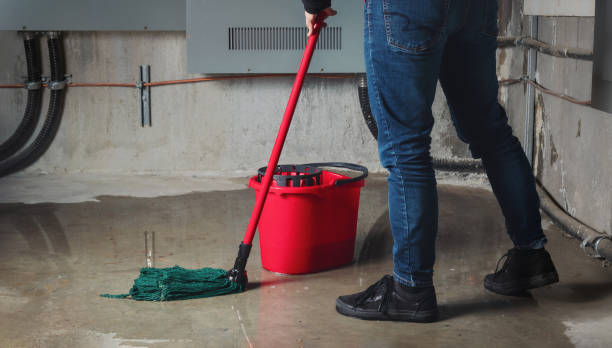 Best Water damage restoration near me  in Hillsboro, ND