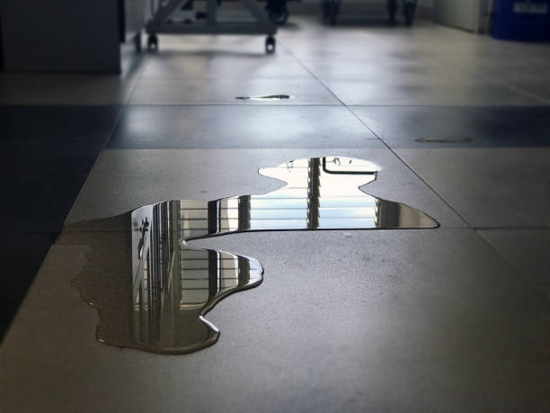 Local water damage restoration in Hillsboro, ND