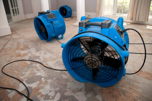 Best Professional water damage repair  in Hillsboro, ND