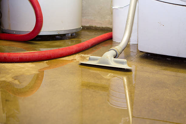 Best Professional water damage repair  in Hillsboro, ND
