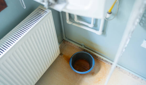 Best Flooded house restoration  in Hillsboro, ND