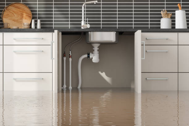 Best Emergency water damage restoration  in Hillsboro, ND
