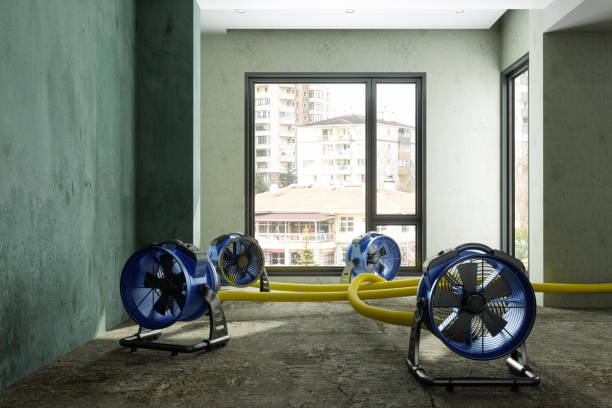 Best Commercial water damage restoration  in Hillsboro, ND